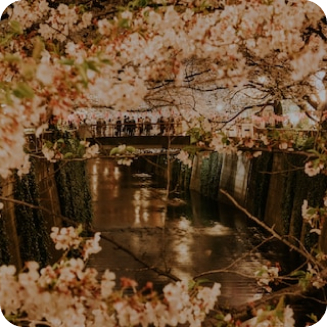 目黒区